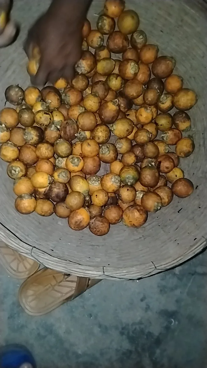 Coconuts and betel nuts