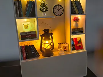 Miniature Lighting Bookshelf | মিনি লাইটিং বুকশেলফ