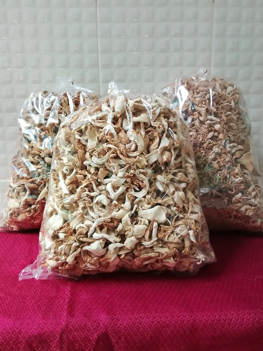 Dry oyster mushroom