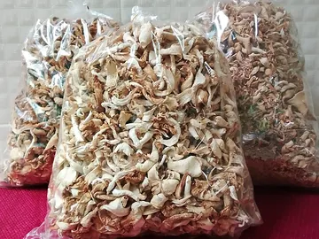 Dry oyster mushroom