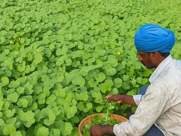 উত্তর বঙ্গের জনপ্রিয় খাবার