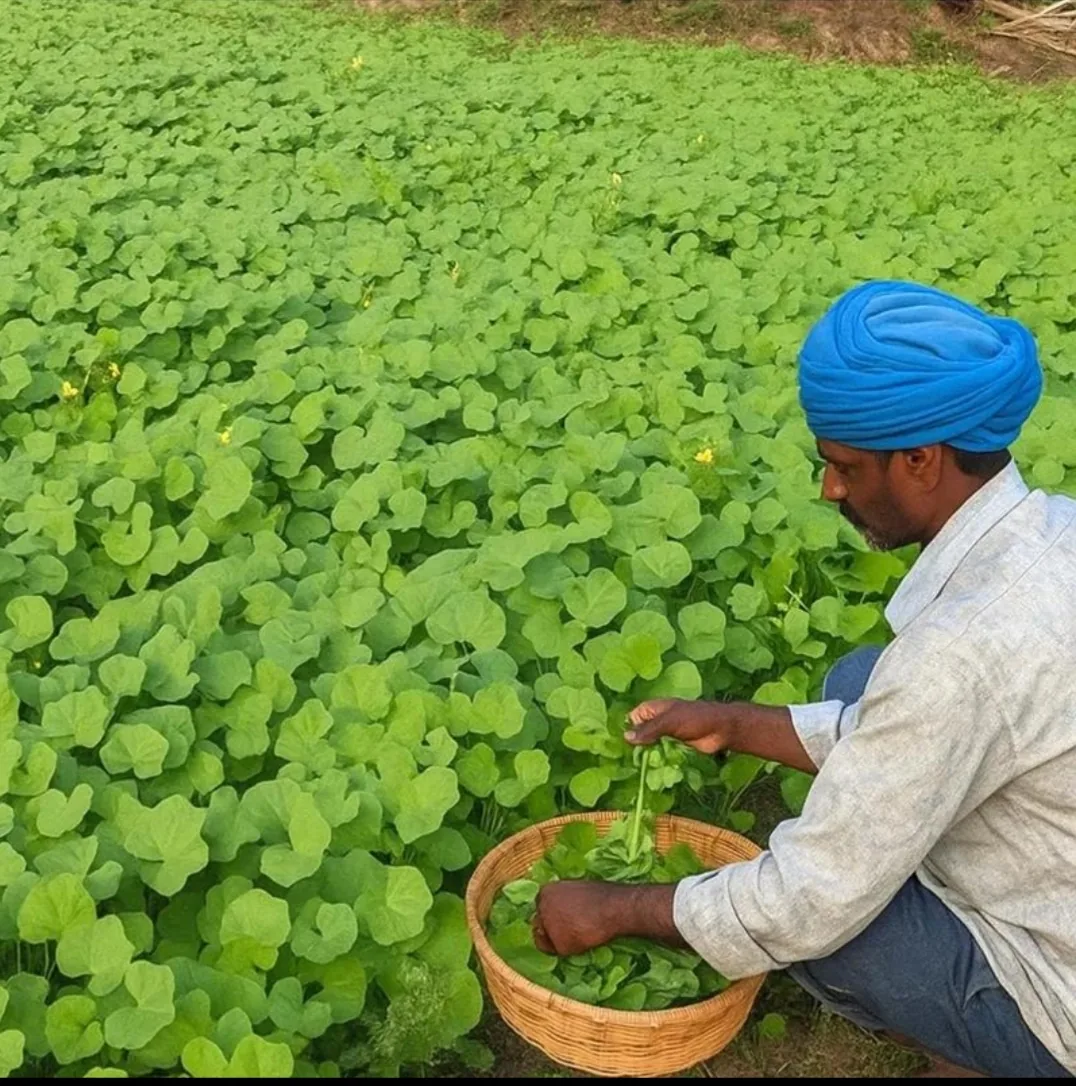 উত্তর বঙ্গের জনপ্রিয় খাবার