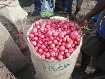 ডায়মন্ড এবং রোমন আলু