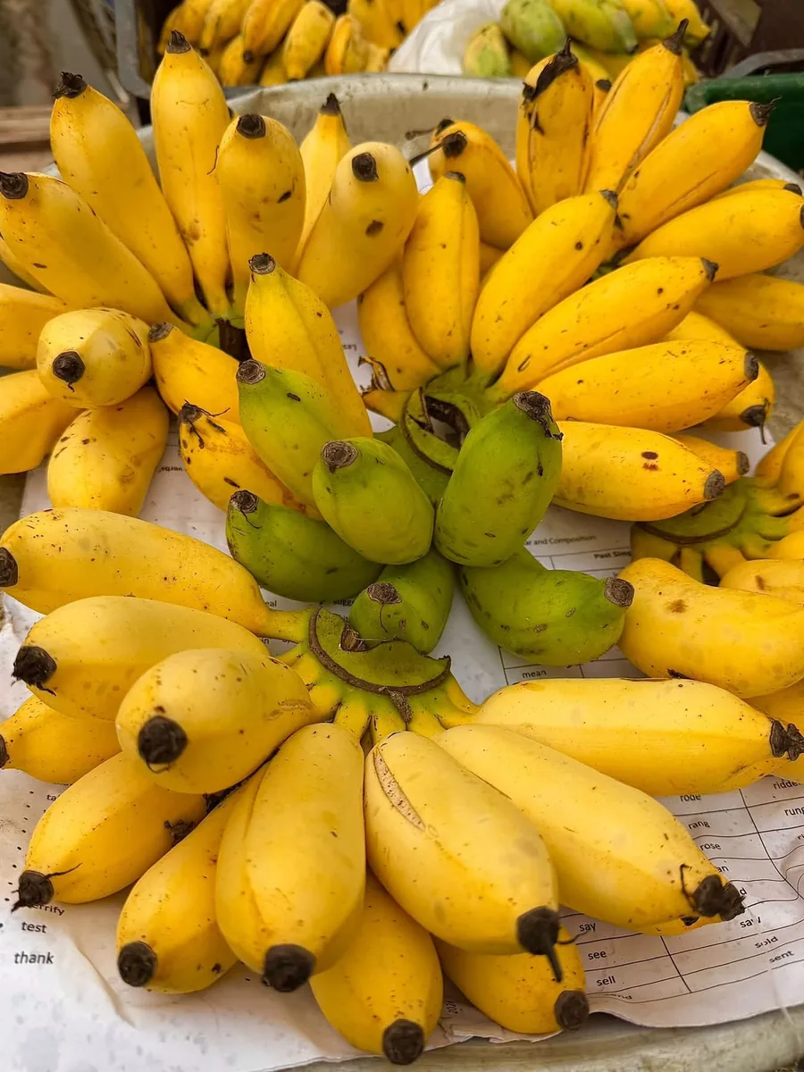 Shobri Banana