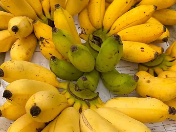 Shobri Banana