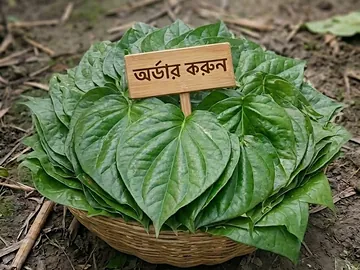 দেশি লাল ডেঙ্গি পান পাতা