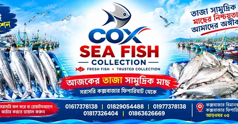 সাগরের তরতাজা সী ফিশ এভেইলেবল