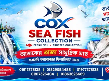 সাগরের তরতাজা সী ফিশ এভেইলেবল