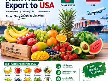 Fresh Fruits Export to USA