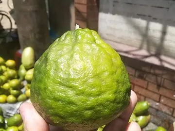 আদাজামির