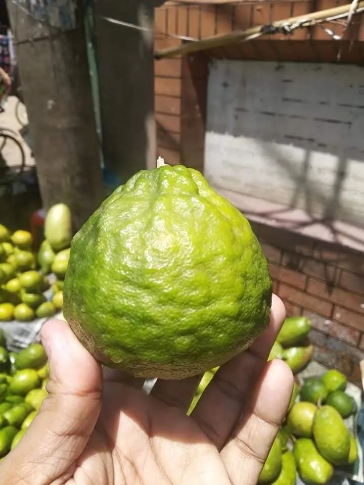 আদাজামির