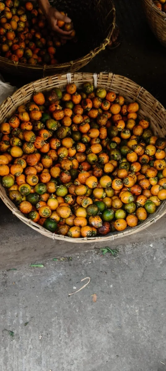 Areca nut_ সুপারি