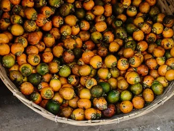 Areca nut_ সুপারি