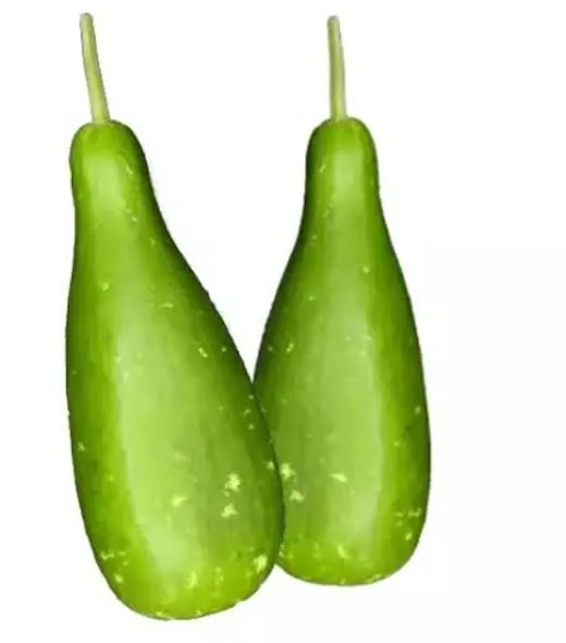 bottle gourd
