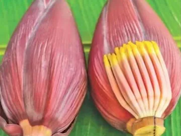 কলার মোচা