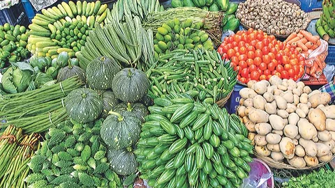 সবজি রপ্তানি
