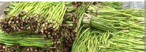 কচুর লতি (taro Tam)