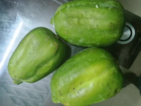 পেঁপে