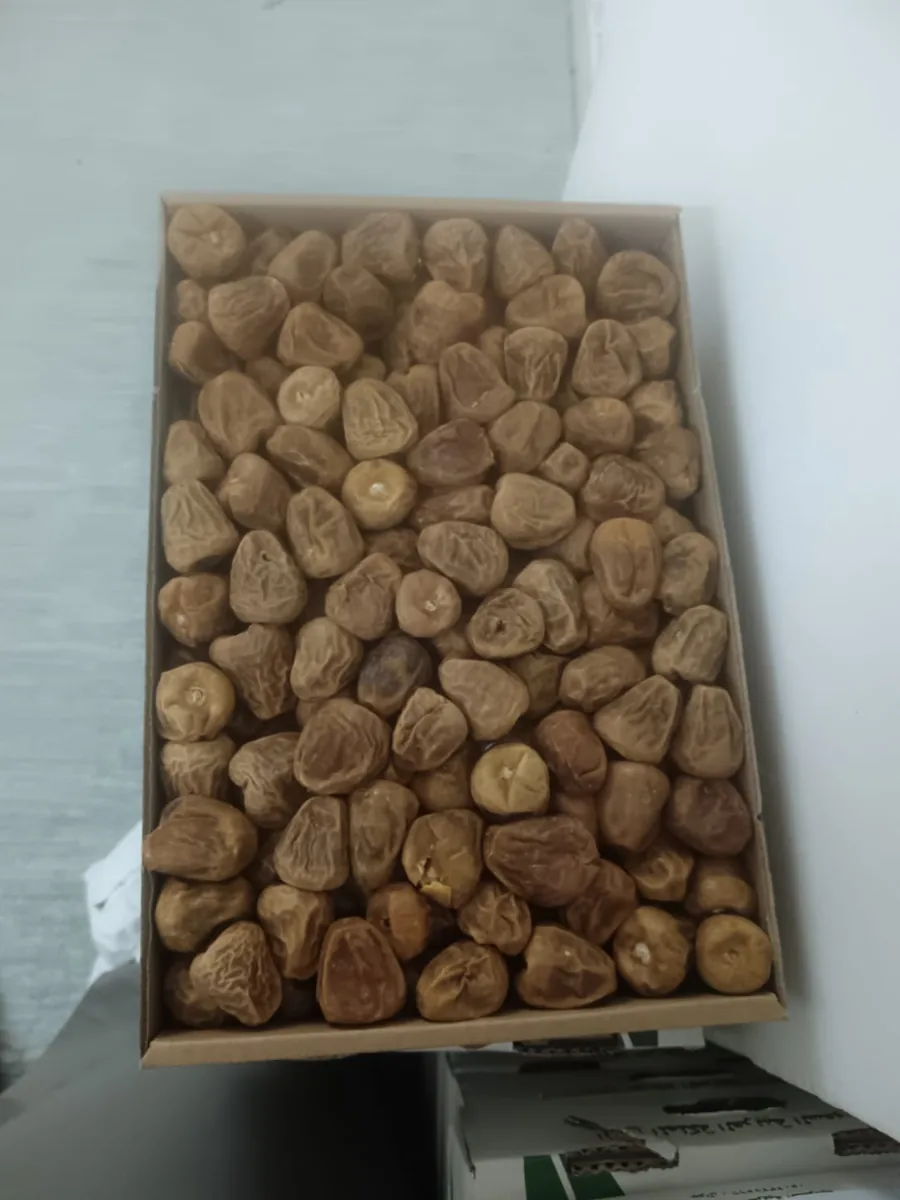 Sukkari rutab Dates