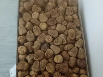 Sukkari rutab Dates