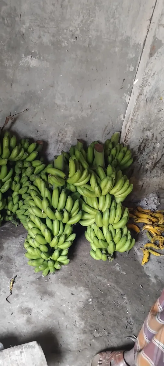 banana