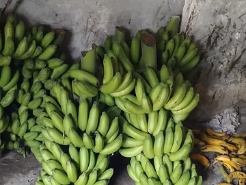 banana