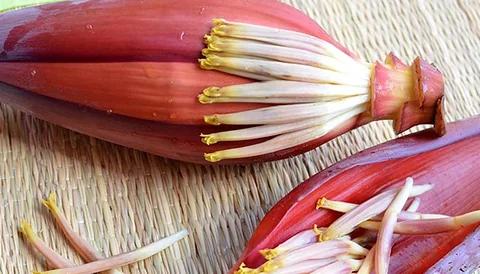 কলার মোচা