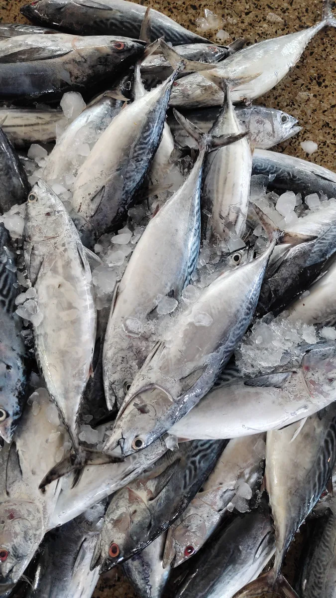 Seafood