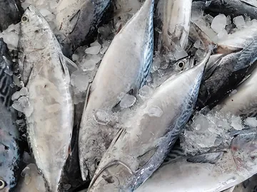 Seafood