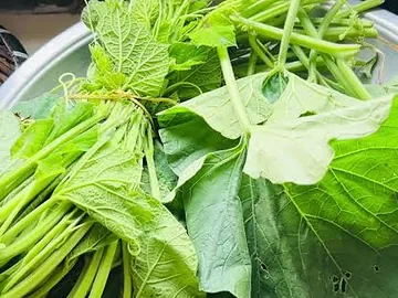 লাউ শাক