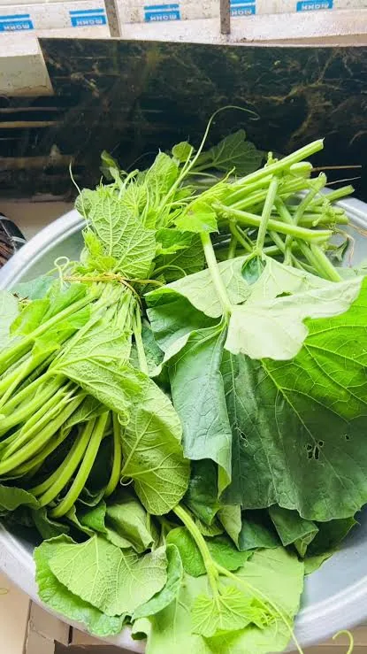 লাউ শাক