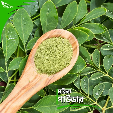 Organica Harvest Premium Organic Moringa Powder (অর্গানিক সজনে পাতা গুঁড়া) - 250g