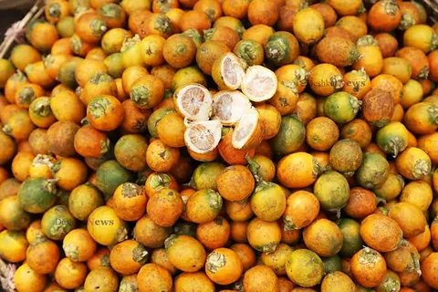 সুপারী ফ্রেশ পাকনা