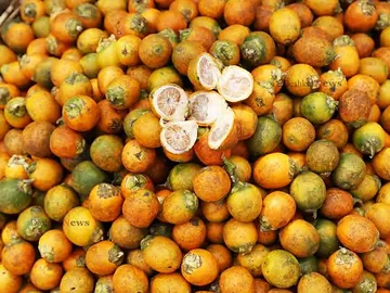 সুপারী ফ্রেশ পাকনা