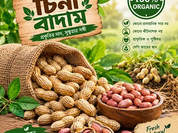 🌱🥜 মাঠ থেকে সরাসরি আপনার হাতে — খাঁটি চিনা বাদাম!