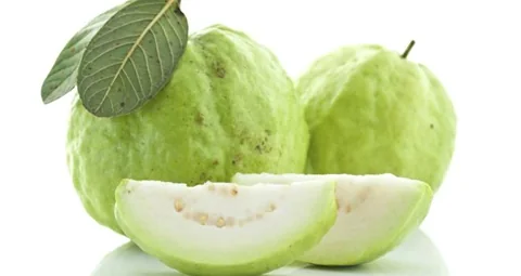 Guava