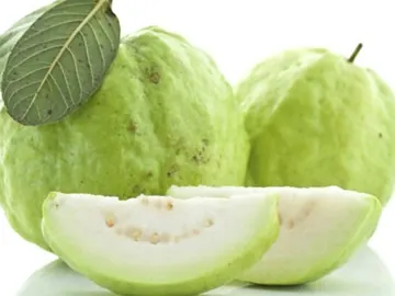 Guava