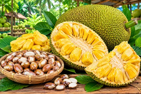 মিষ্টি স্বাদের তাজা কাঁঠাল — প্রাকৃতিক স্বাদের 🌿✨
