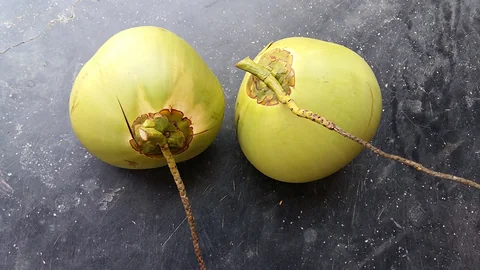 Fresh Green Coconuts for Sale.