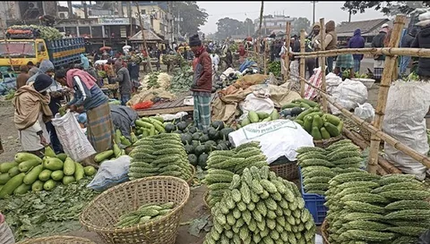 fresh vegetable : লাউ, কদু, মিষ্টি কুমড়া, করলা,