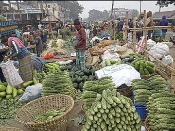 fresh vegetable : লাউ, কদু, মিষ্টি কুমড়া, করলা,