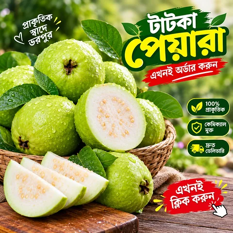 টাটকা পেয়ারা নিজের বাগানের সুস্বাদু পেয়ারা।