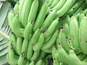 সাগর কলা ( কাঁচা) ৪ পিস