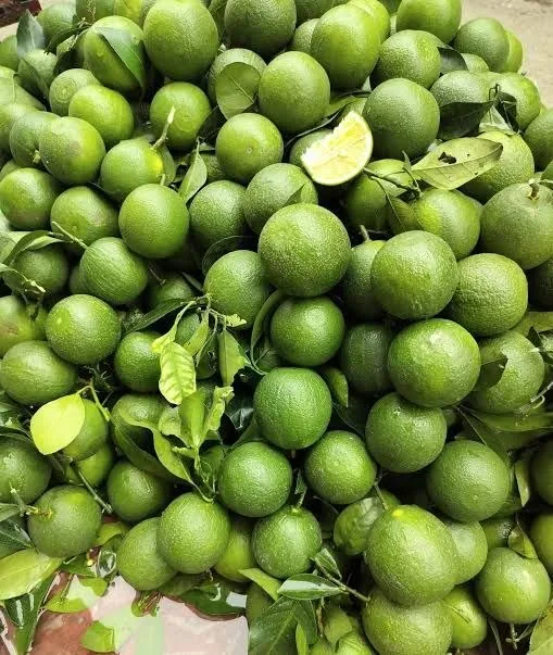 ফ্রেশ টাটকা মালটা পেয়ারা কাঁচা মরিচ