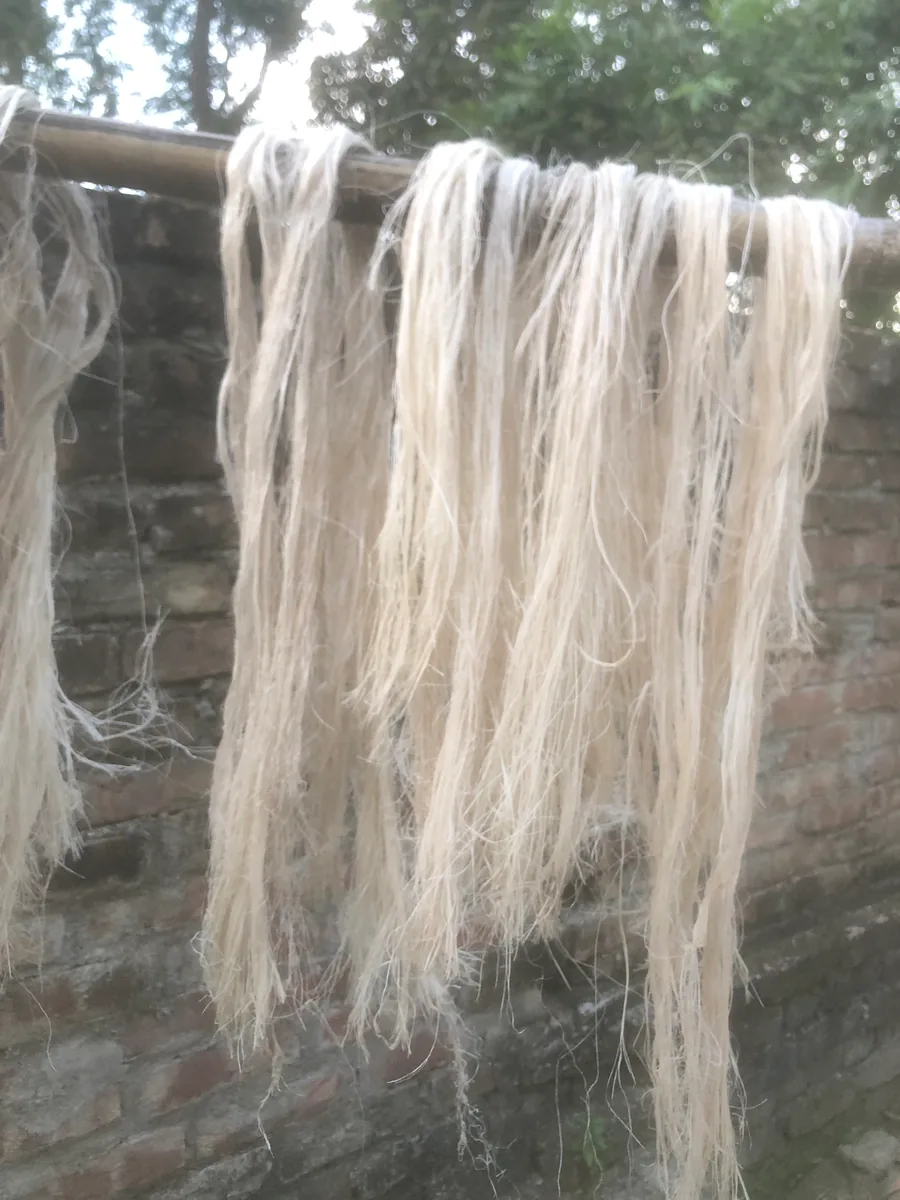 Banana Fiber