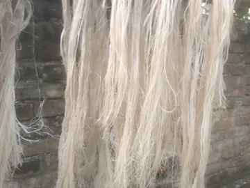 Banana Fiber