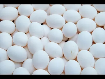 100% Organic & Fresh Duck Eggs