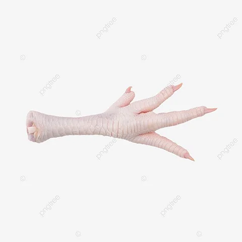 High-Quality Export Grade Frozen Chicken Feet and Paws