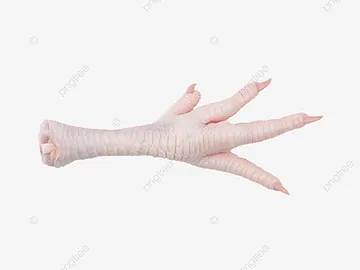 High-Quality Export Grade Frozen Chicken Feet and Paws