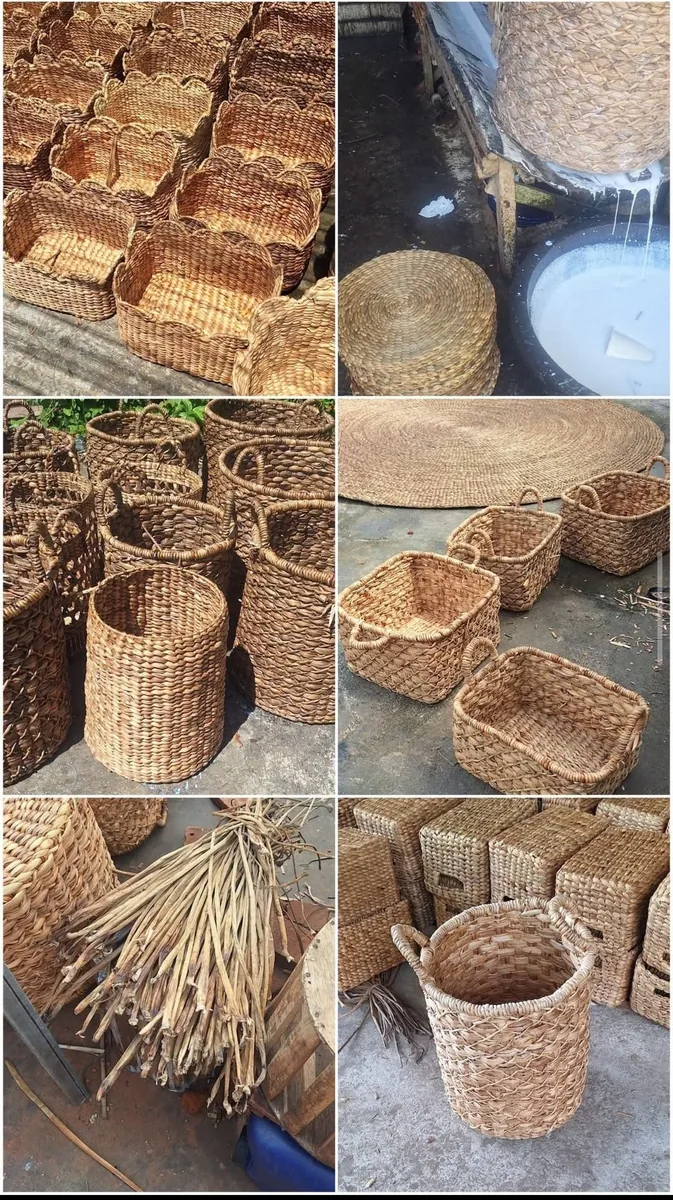 Benana ,painapple ,kochuri faibar, and handcraft